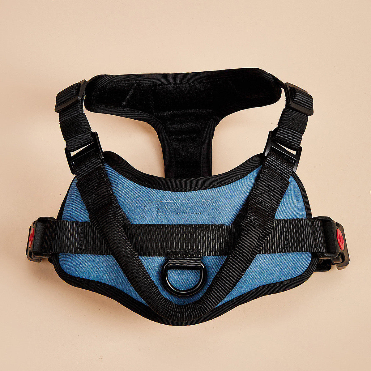 Dog wearing padded harness