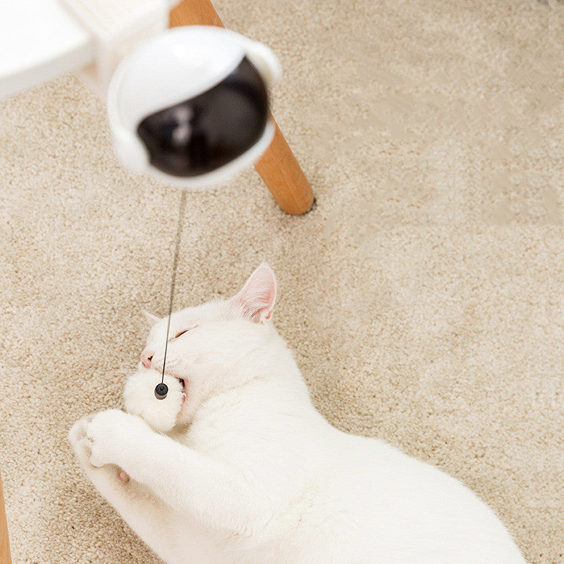 Automatic lifting ball cat toy