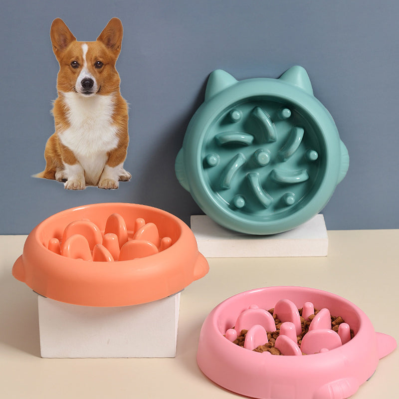 Slow feeder in dog enrichment bundle