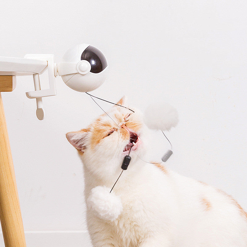Cat playing with lifting ball toy