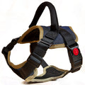 No-pull harness in dog walk kit